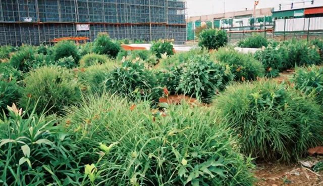 选型关注点:节能改造方案工程技术分析
